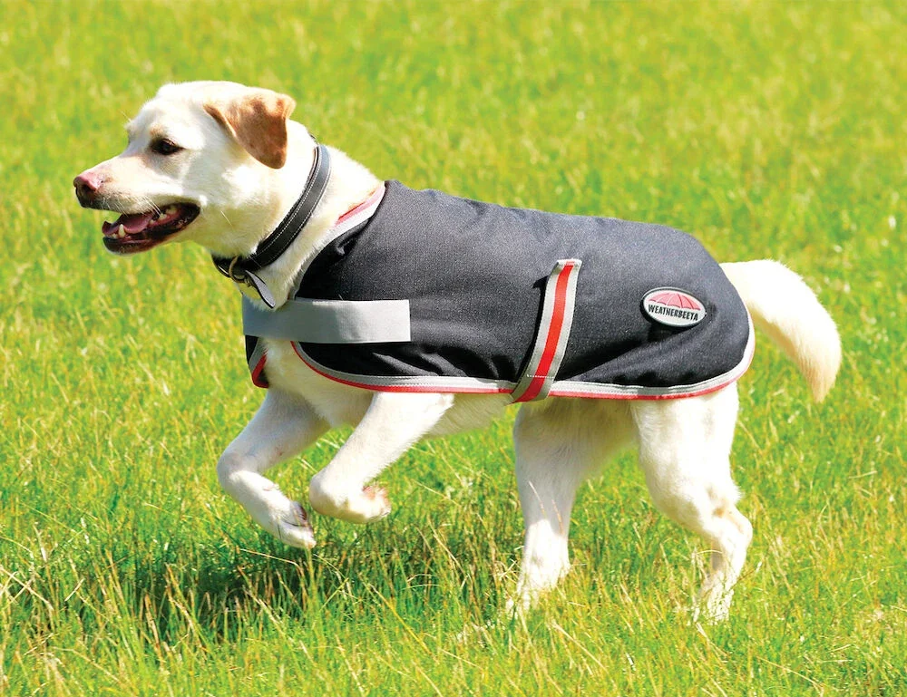 Therapy-Tec dog coat