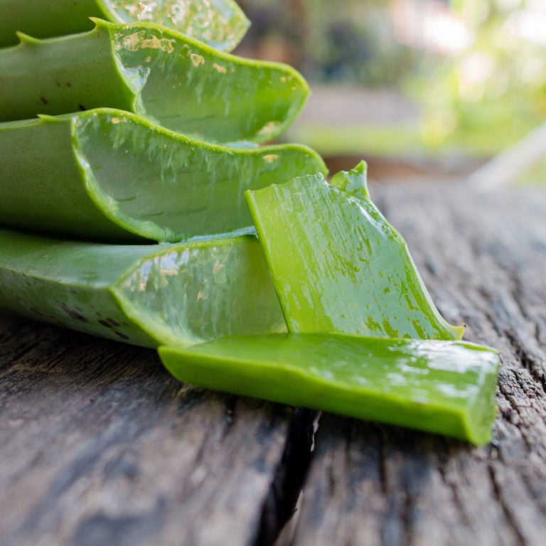 Horsecare Aleo Vera Gel 250 ml