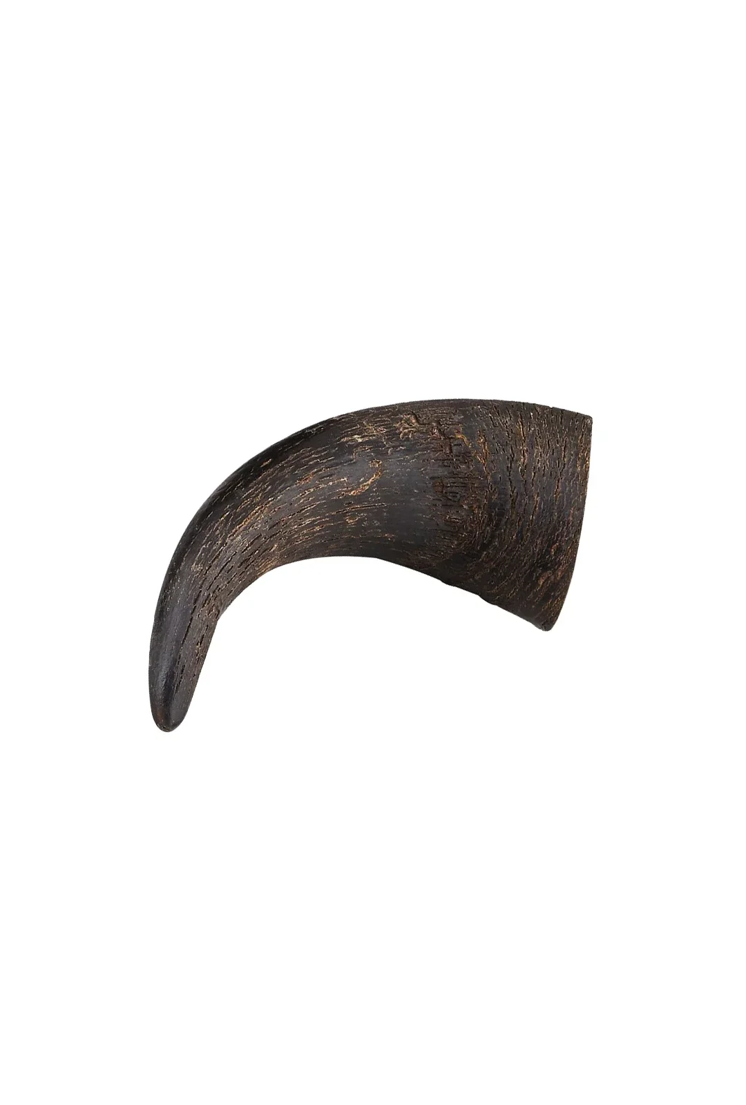 Buffalo horn 