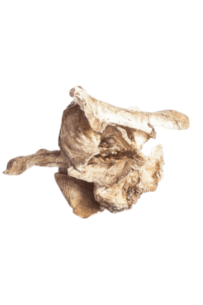 Cikorierødder 120 gram