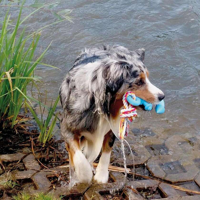 Floating anker med reb