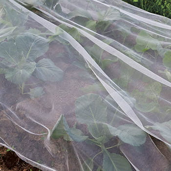 Insektnet & kålnet med 8 pløkker 