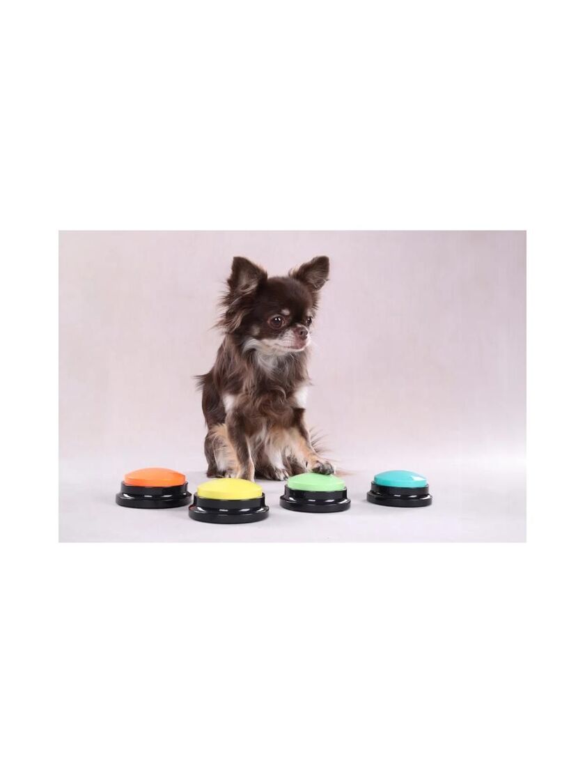 Kommandoknap til hund