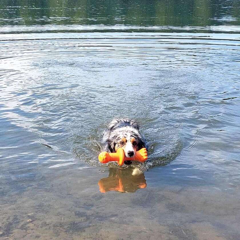 Floating bøje Robbi