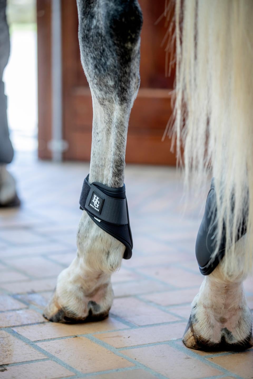 Tary bagbensgamacher