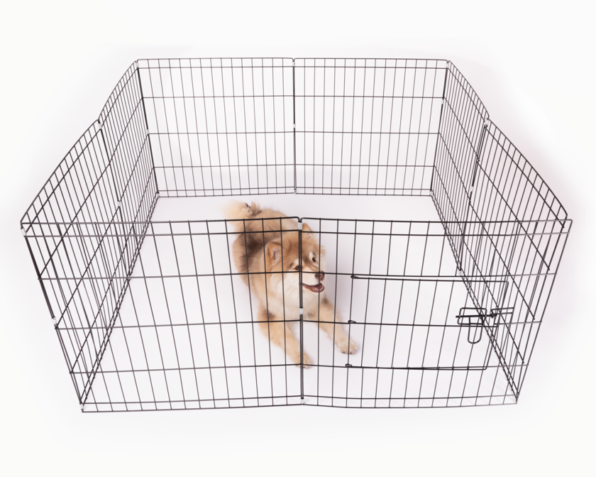 Dog cage 