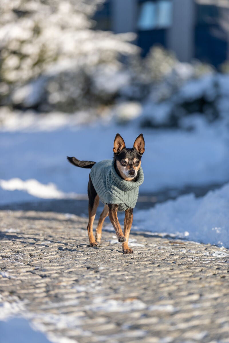 CityStyle Berlin Pullover sage