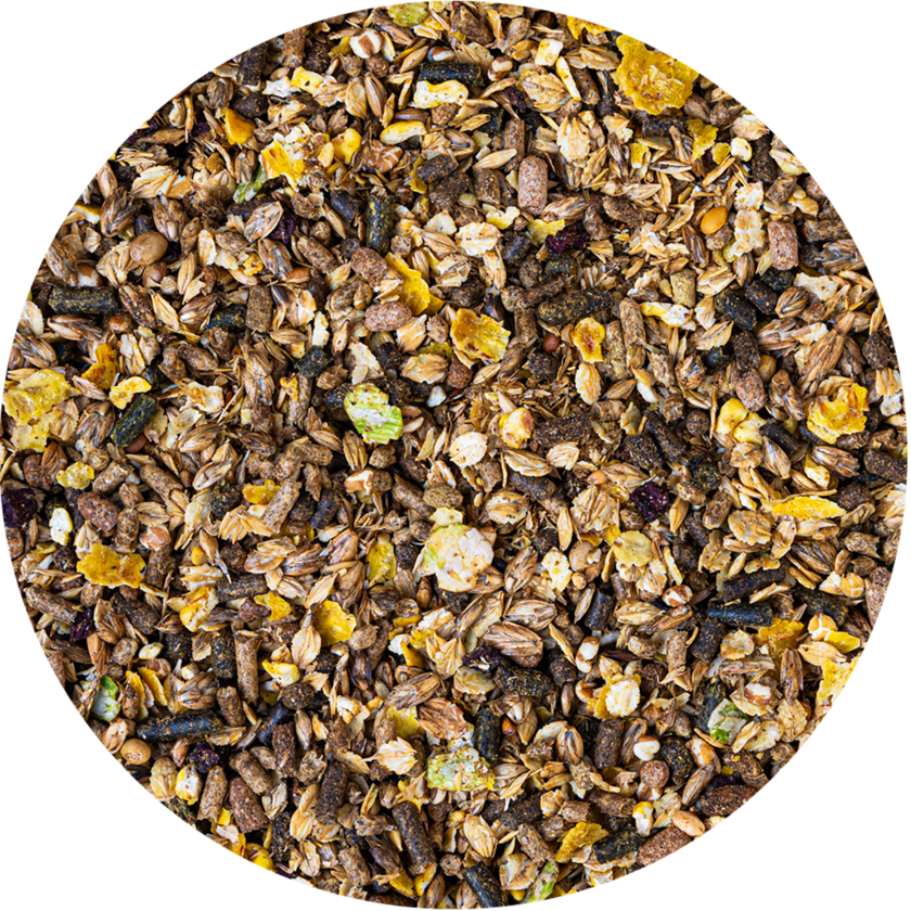 Energy Control 15 kg