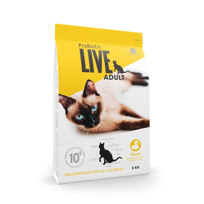 Cat adult and