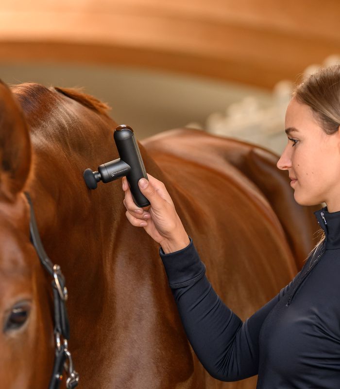 Health + Care massagestav