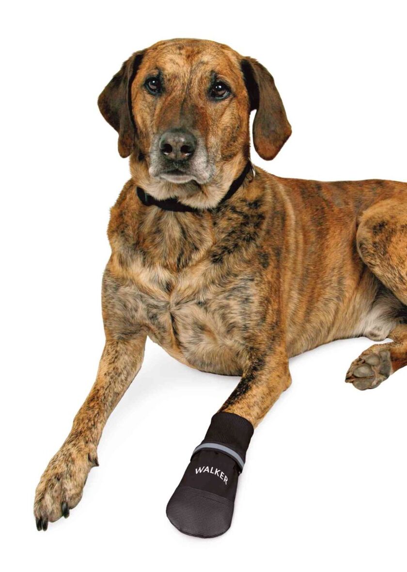 Care Comfort hundestøvler