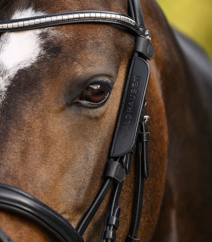 Blinkers