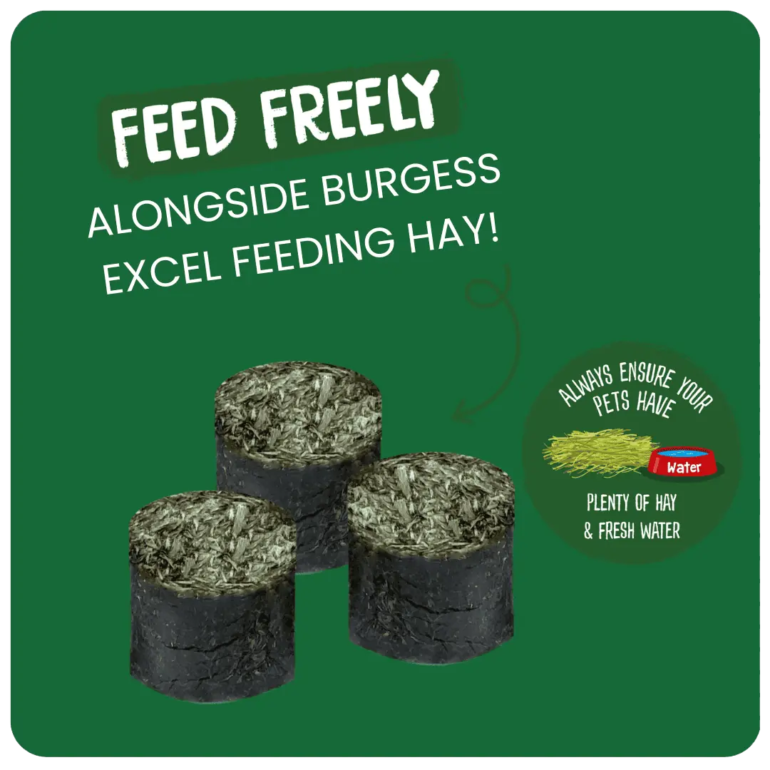 Excel Meadow Munchies 1 kg