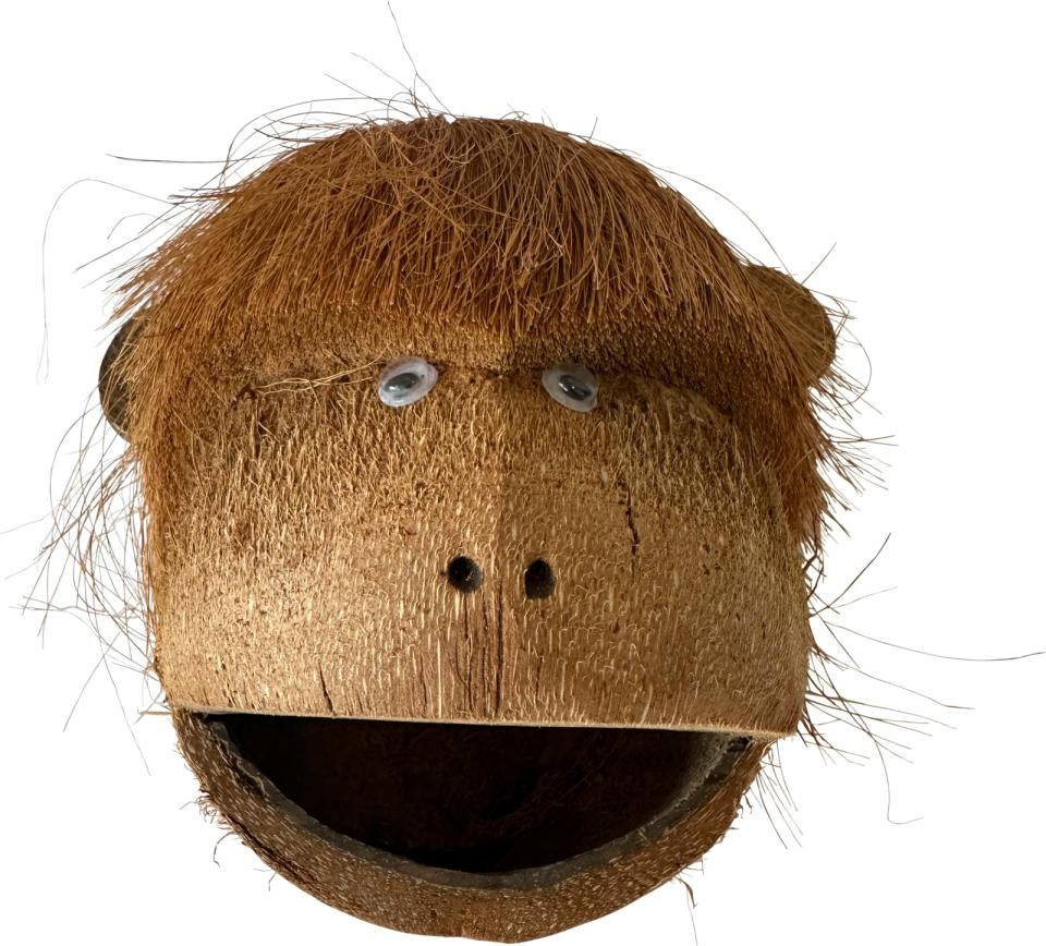 Coco monkey skjulested