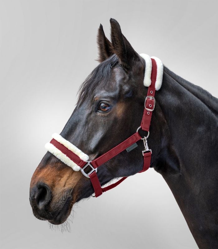 First grime m. imi pels