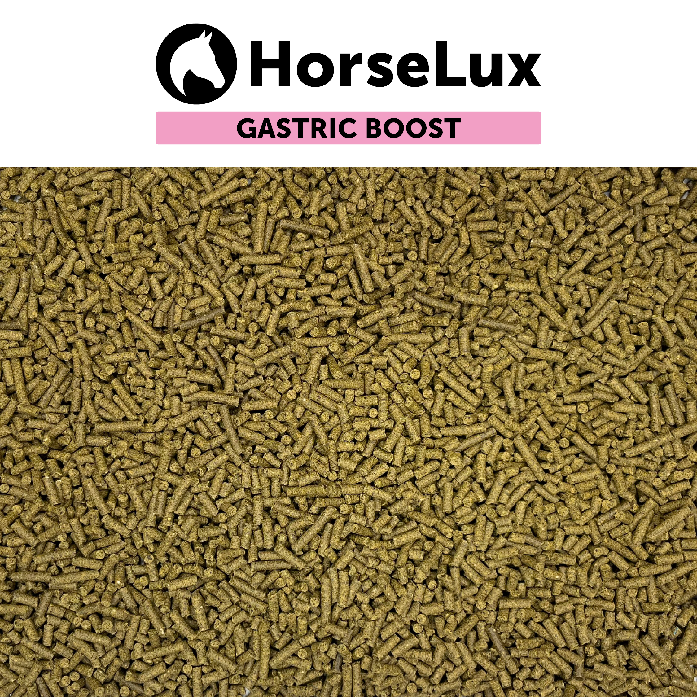 Gastric Boost 1,5 kg