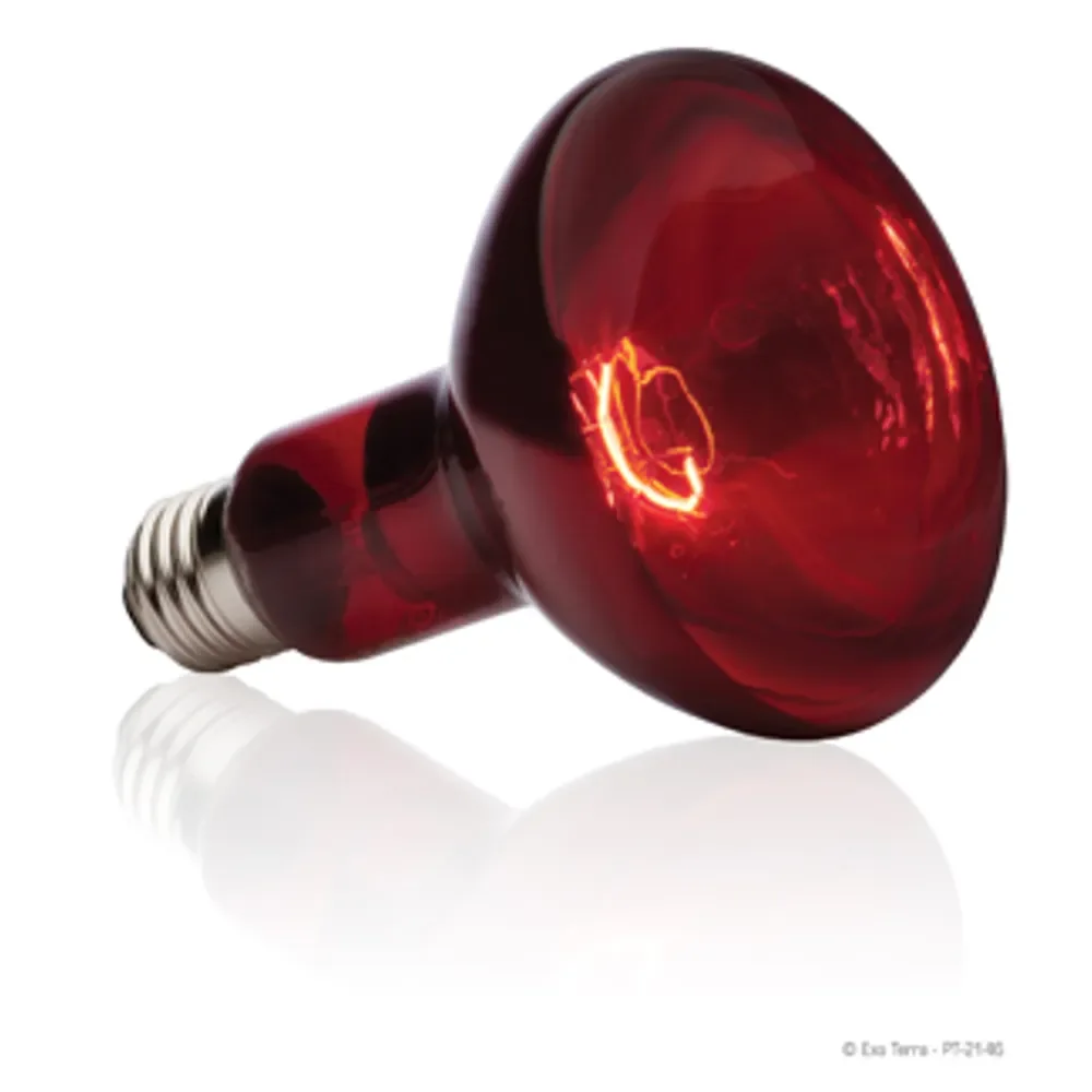 Heat Glo infrarød spot 150 w