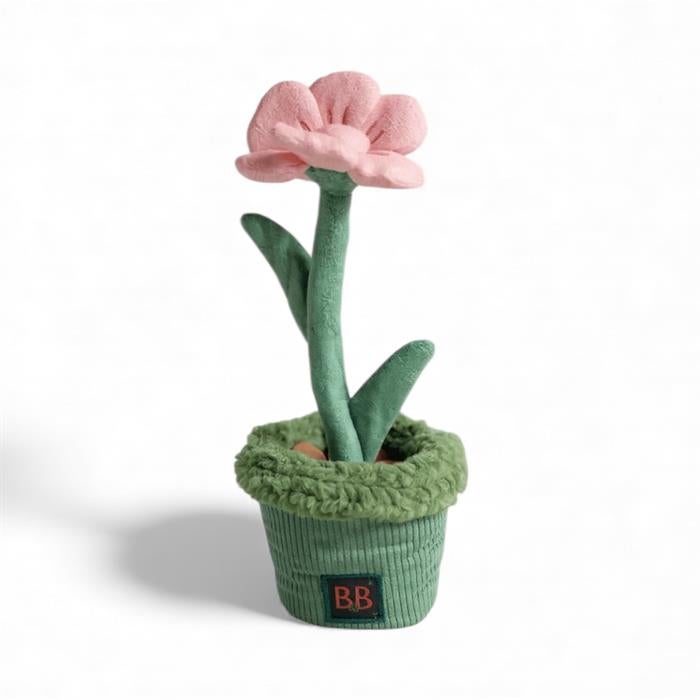 Pawtanic blomst snusetæppe