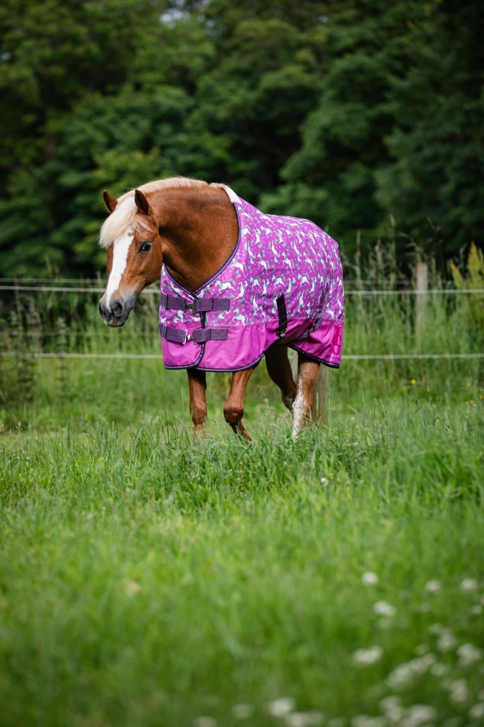 Josh Turnout dækken 600D 0g