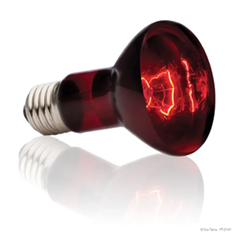 Heat Glo Infrarød spot 50 w