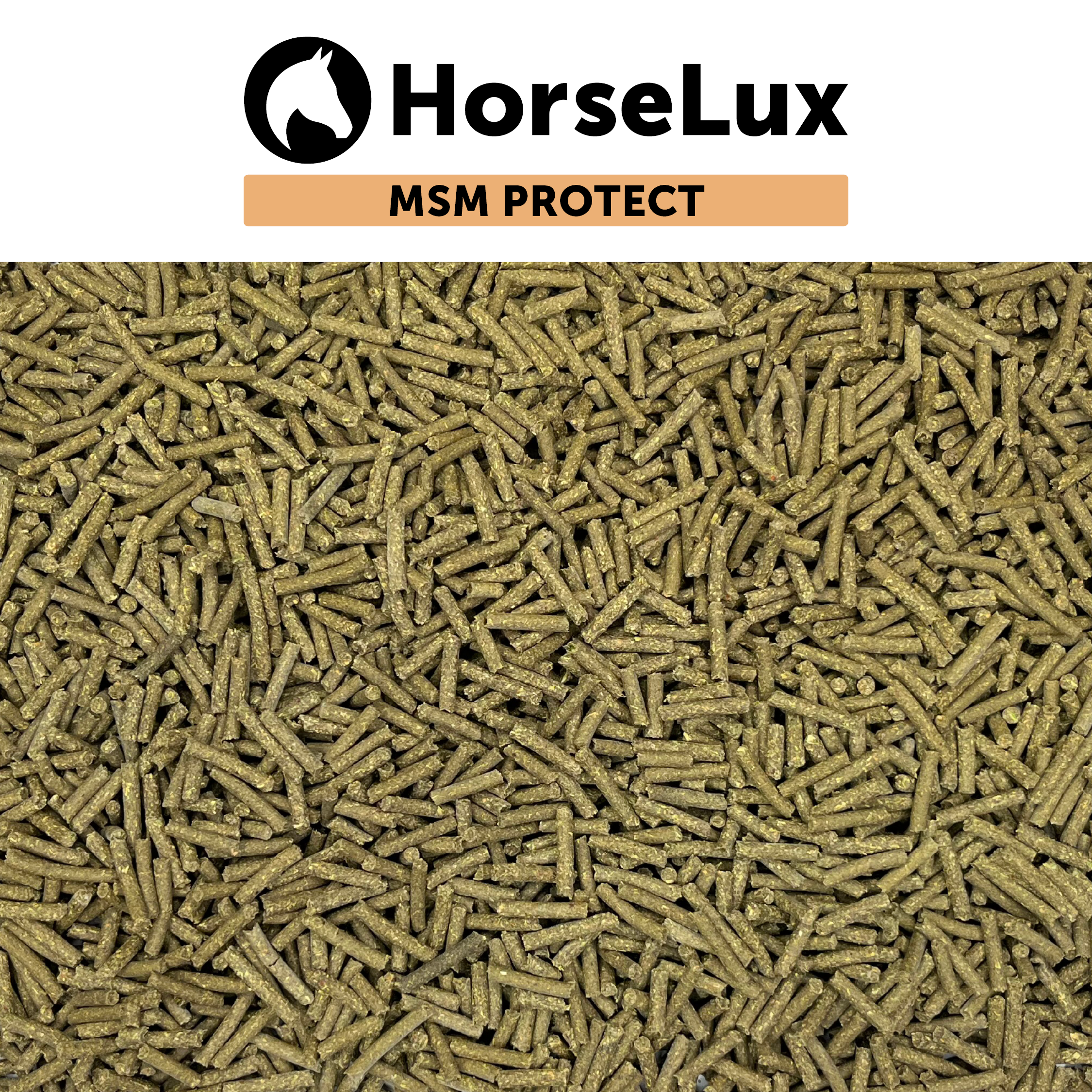 MSM Protect 2 kg